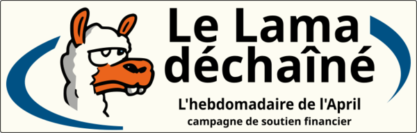 Bannière avec un lama